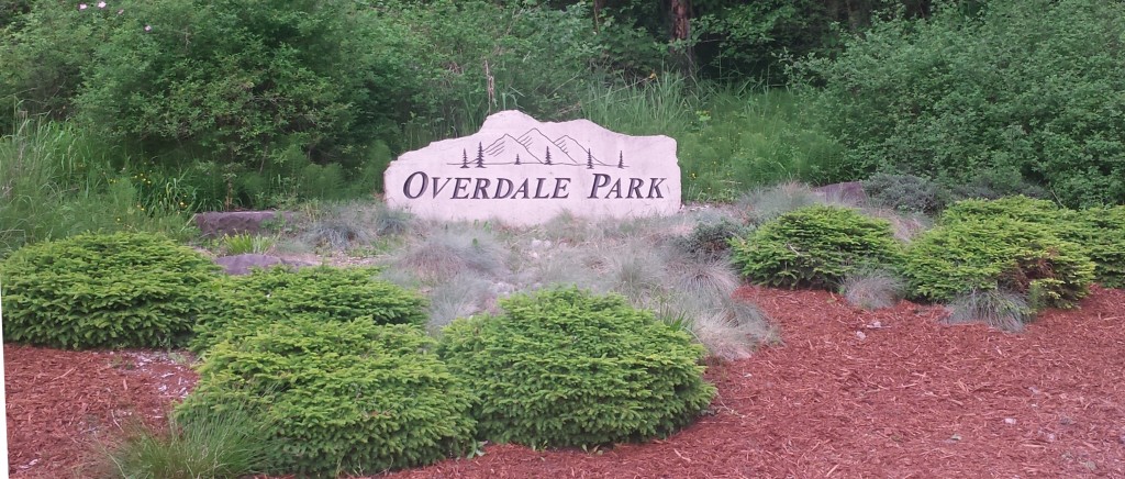 The Overdale Park stone monument sign surrounded by evergreen shrubs