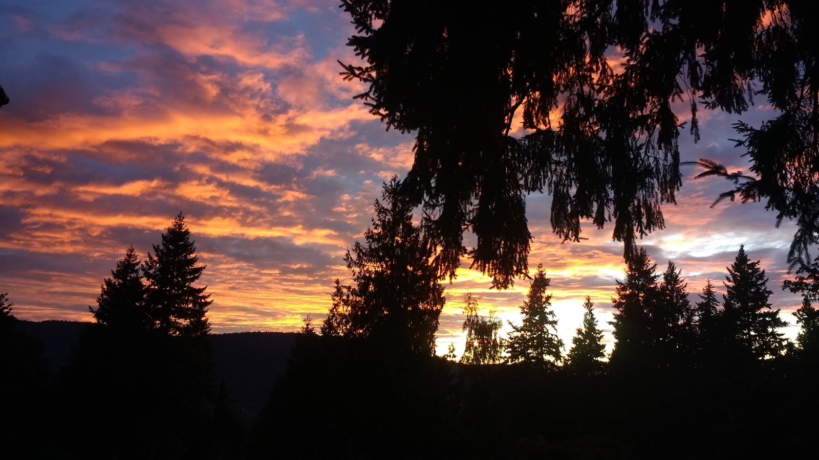 Night sky over Overdale Park